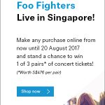 NXT-Web_300x600_Foo-Fighters