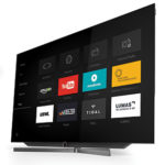 tv-loewe-bild-7