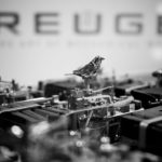 kelys-and-chirp-06