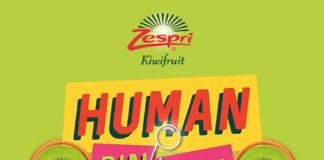 Zespri Human Pinball Machine