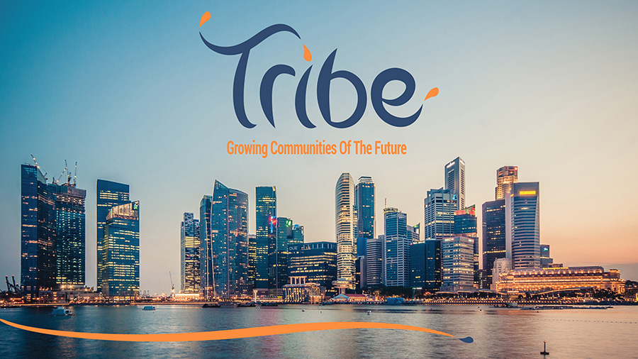 Tribe Accelerator poster