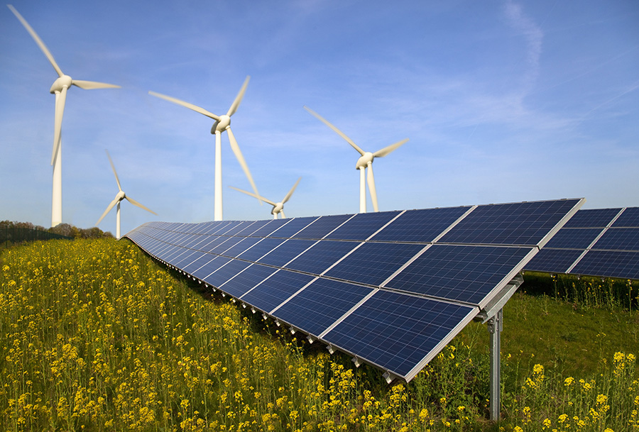 Solar panels and wind turbines in field