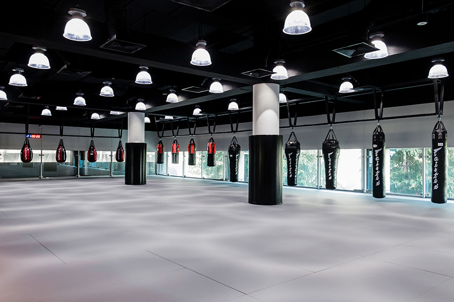 Boxing bags in Evolve MMA gym