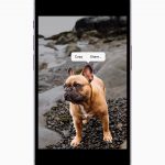 Apple-iPhone-14-Pro-iPhone-14-Pro-Max-iOS-16-Visual-Look-Up-220907