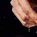 FP8 advertorial_1128_Masterhead_960x250