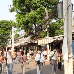 Pano Shot Chatuchak