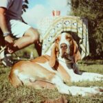 2025-08-11__VIE__nil__staff__mca__cn800-135-film__020