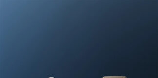 MB&F LM101 Longhorn & M.A.D.1S – 20th Anniversary Editions