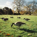 2025-11-03__VIE__antonio-sotelo__staff__simple-use-camera-classicolor-200-135-film__005