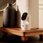 538000180_18520207369038514_9084816237748153250_n