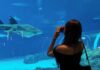 Polaroid Go Gen 3: Pocket-Sized Memories at The Oceanarium