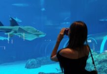 Polaroid Go Gen 3: Pocket-Sized Memories at The Oceanarium