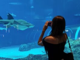 Polaroid Go Gen 3: Pocket-Sized Memories at The Oceanarium