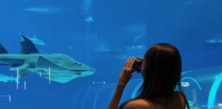 Polaroid Go Gen 3: Pocket-Sized Memories at The Oceanarium